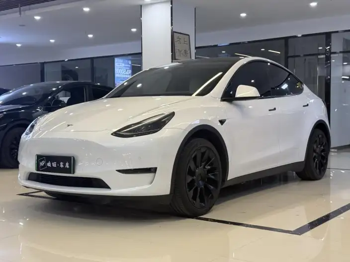 Model Y 2023 Model Long Battery Life Pro All-wheel drive version – фото 1