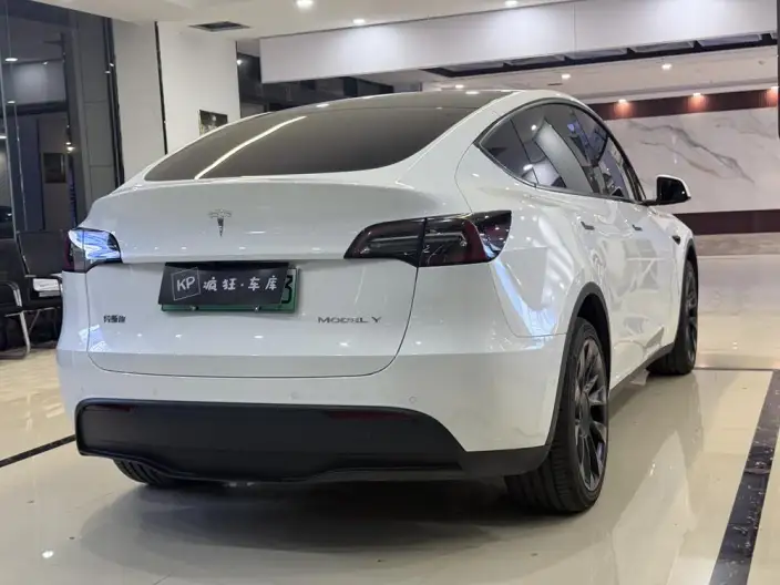 Model Y 2023 Model Long Battery Life Pro All-wheel drive version – фото 4