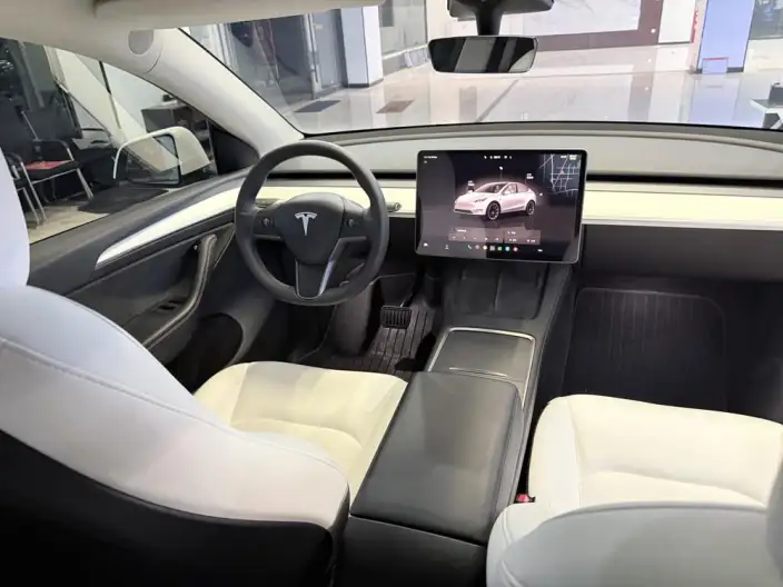 Model Y 2023 Model Long Battery Life Pro All-wheel drive version – фото 6