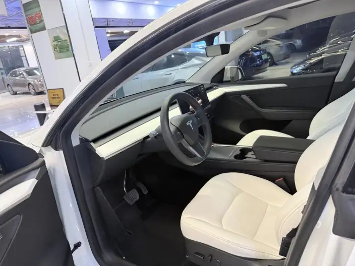 Model Y 2023 Model Long Battery Life Pro All-wheel drive version – фото 7