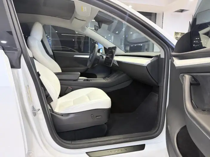 Model Y 2023 Model Long Battery Life Pro All-wheel drive version – фото 10