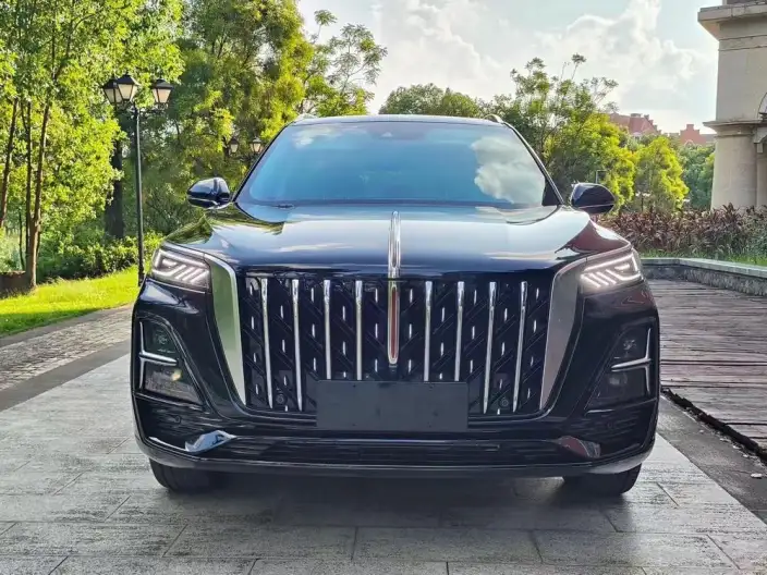 Hongqi HS5 2023 Model 2.0T Flag Xiang Pro Edition – фото 2
