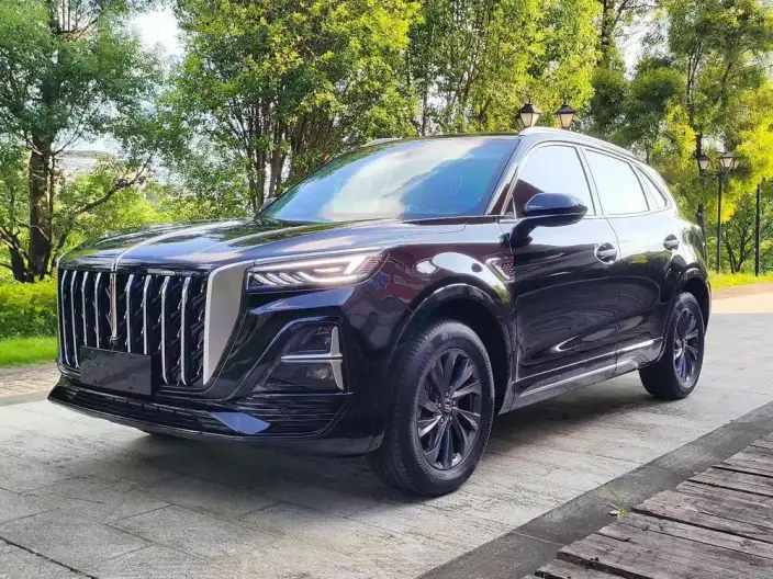 Hongqi HS5 2023 Model 2.0T Flag Xiang Pro Edition – фото 10