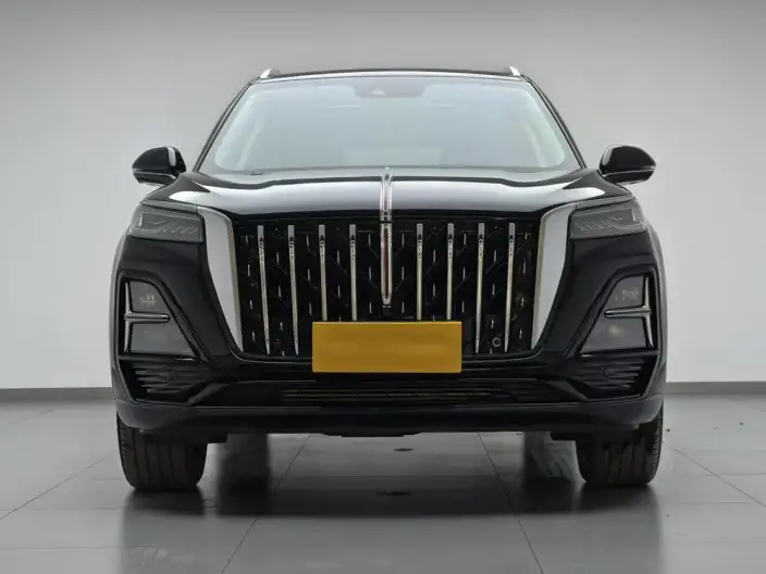 Hongqi HS5 2023 Model 2.0T 4WD Flag Xiang Pro Edition – фото 2
