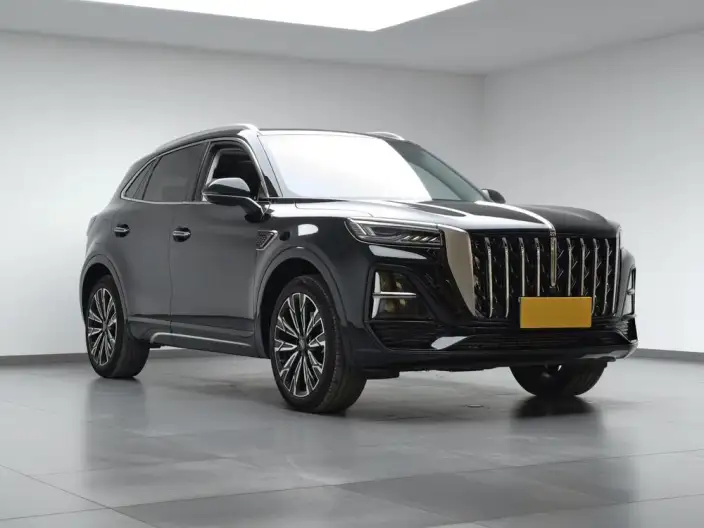 Hongqi HS5 2023 Model 2.0T 4WD Flag Xiang Pro Edition – фото 3