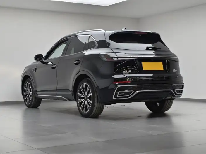 Hongqi HS5 2023 Model 2.0T 4WD Flag Xiang Pro Edition – фото 4