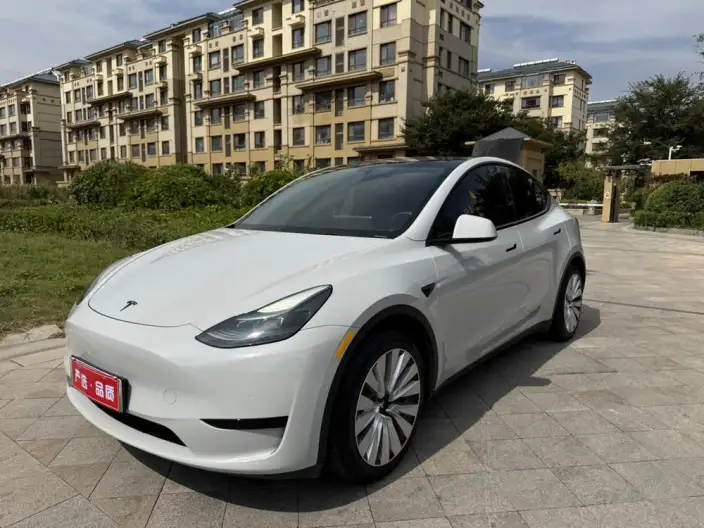 Model Y 2022 Model Facelift Rear-wheel drive version – фото 1