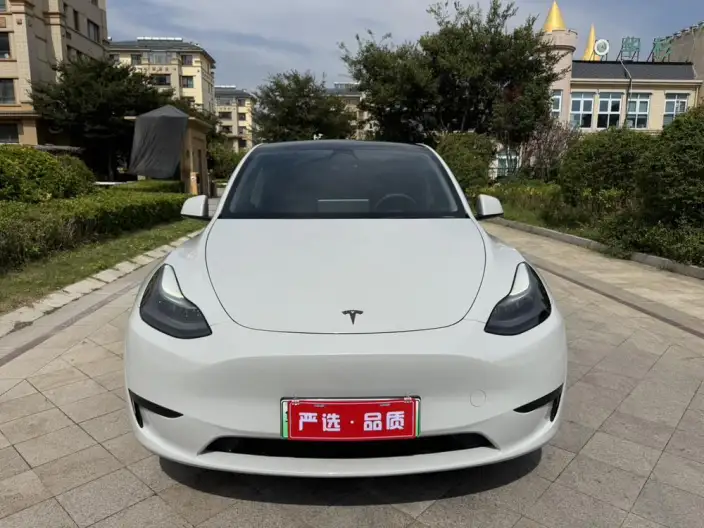 Model Y 2022 Model Facelift Rear-wheel drive version – фото 2