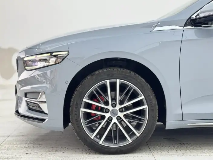 Geely StarRui 2023 Model 2.0T Noble Model – фото 4