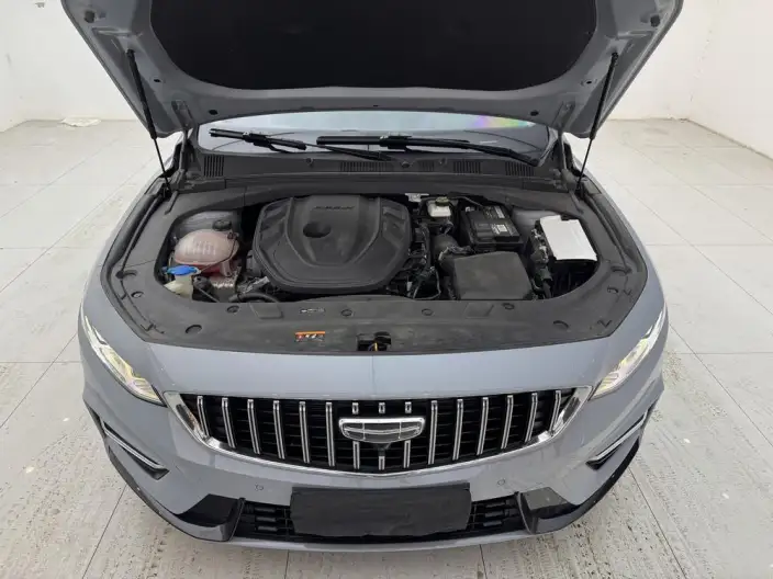 Geely StarRui 2023 Model 2.0T Noble Model – фото 8