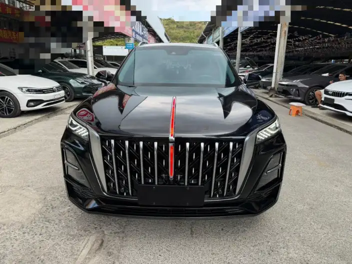 Hongqi HS5 2023 Model 2.0T 4WD Flag Xiang Pro Edition – фото 2