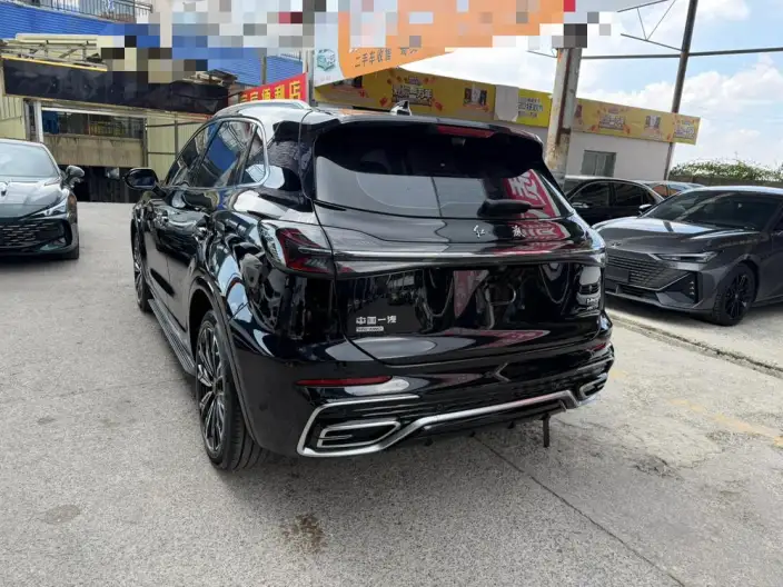 Hongqi HS5 2023 Model 2.0T 4WD Flag Xiang Pro Edition – фото 4