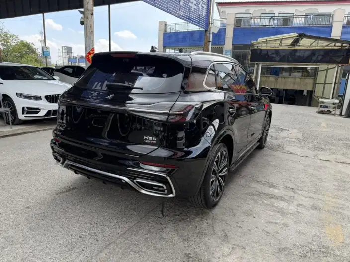 Hongqi HS5 2023 Model 2.0T 4WD Flag Xiang Pro Edition – фото 6