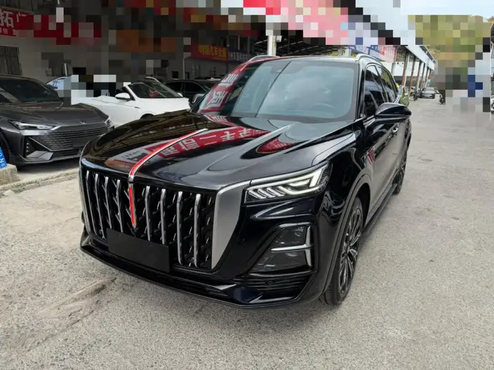 Hongqi HS5 2023 Model 2.0T 4WD Flag Xiang Pro Edition – фото 10