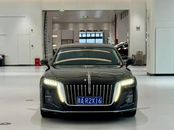 Hongqi H5 2023 Model 1.5T DCT Flag Rhythm Edition – фото 2