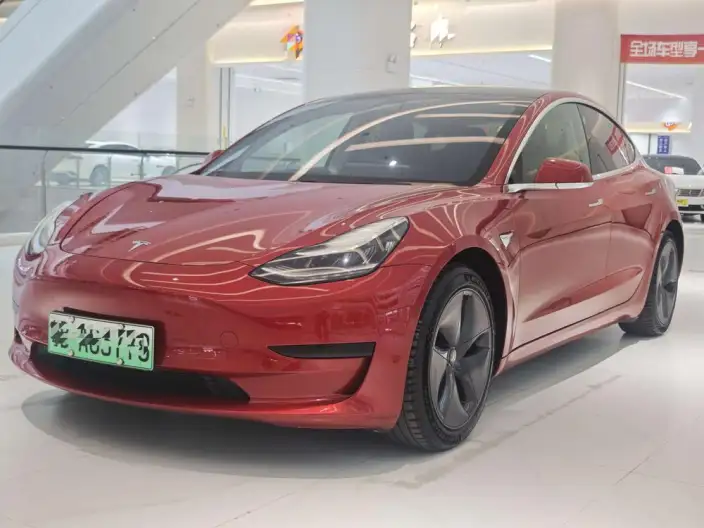 Model 3 2020 Model Standard Battery Life Rear Drive L Class Edition – фото 1