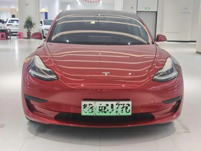 Model 3 2020 Model Standard Battery Life Rear Drive L Class Edition – фото 2
