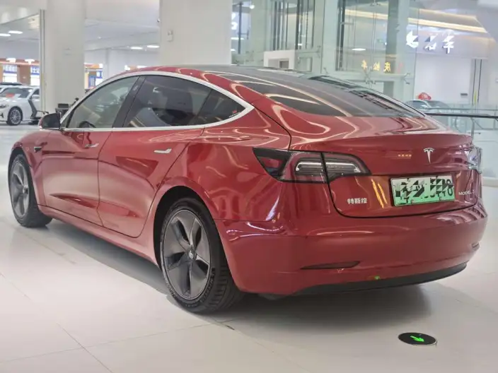 Model 3 2020 Model Standard Battery Life Rear Drive L Class Edition – фото 4