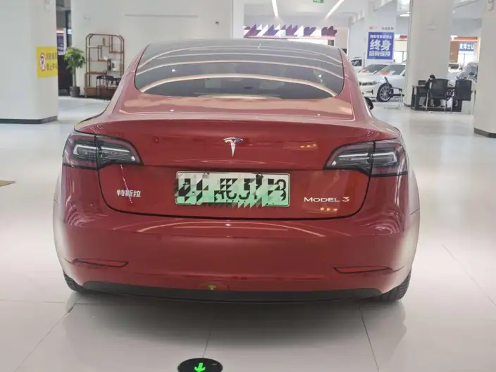 Model 3 2020 Model Standard Battery Life Rear Drive L Class Edition – фото 5