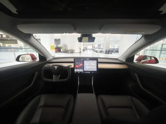 Model 3 2020 Model Standard Battery Life Rear Drive L Class Edition – фото 10