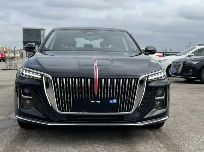Hongqi H5 2024 Model 2.0T Automatic Flag Enjoy Edition – фото 2