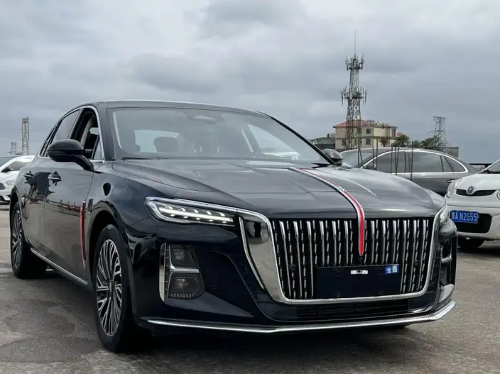 Hongqi H5 2024 Model 2.0T Automatic Flag Enjoy Edition – фото 3
