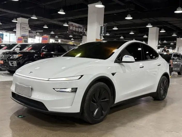 Model Y 2025 Model Rear-wheel drive version – фото 1