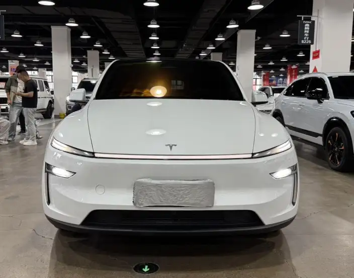 Model Y 2025 Model Rear-wheel drive version – фото 2