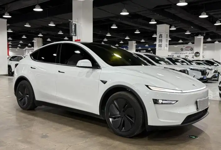 Model Y 2025 Model Rear-wheel drive version – фото 3