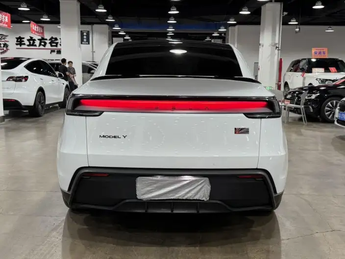 Model Y 2025 Model Rear-wheel drive version – фото 5