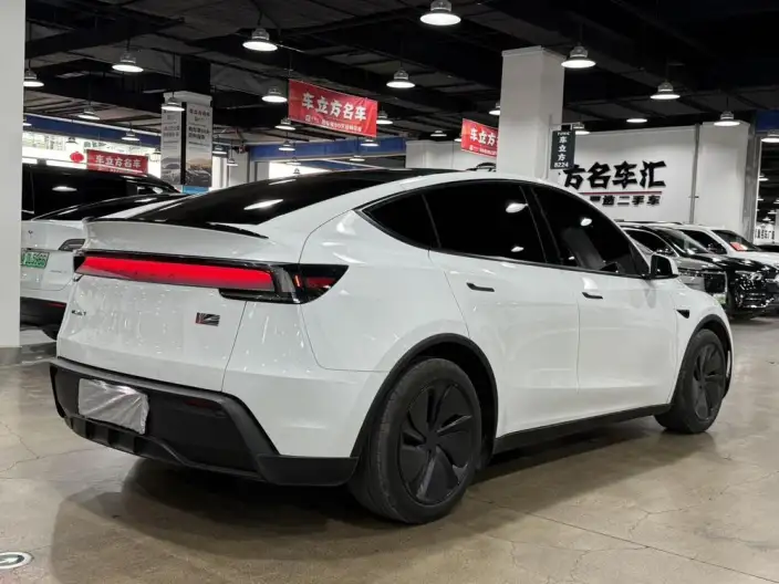 Model Y 2025 Model Rear-wheel drive version – фото 6