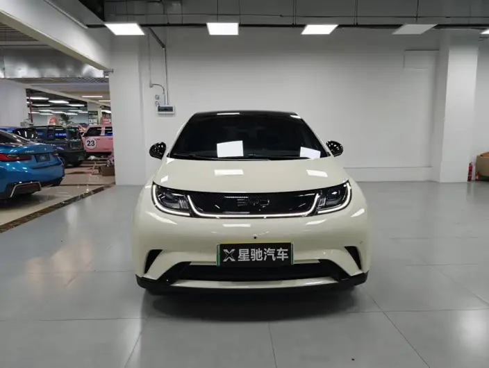 BYD Dolphin 2024 Model Honor Edition 420km Fashion Edition – фото 2