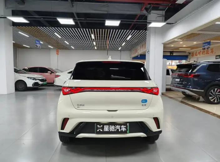 BYD Dolphin 2024 Model Honor Edition 420km Fashion Edition – фото 5