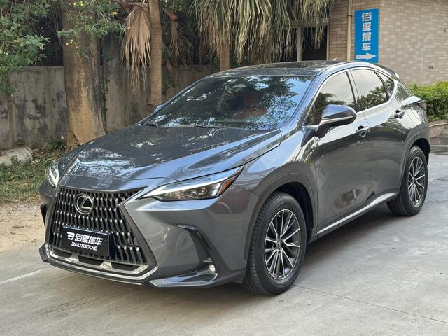 Lexus NX 2022 350h FWD Creative Enjoy – фото 1