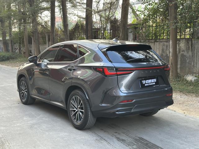 Lexus NX 2022 350h FWD Creative Enjoy – фото 3