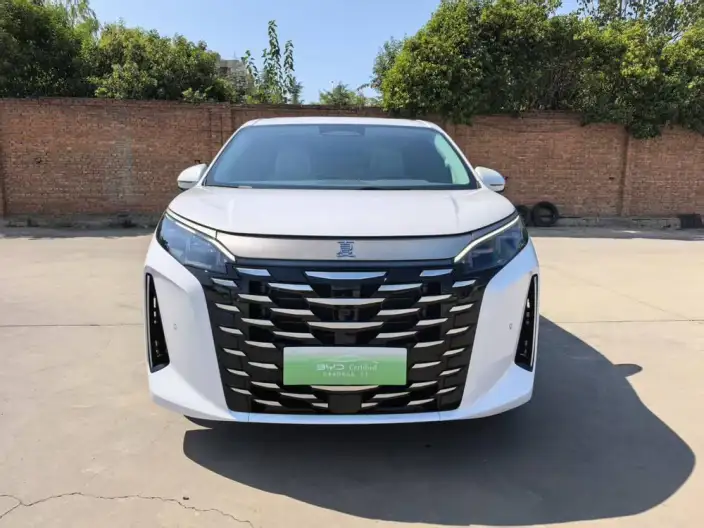 Xia 2025 Model DM-i 180KM Excellence Model – фото 2