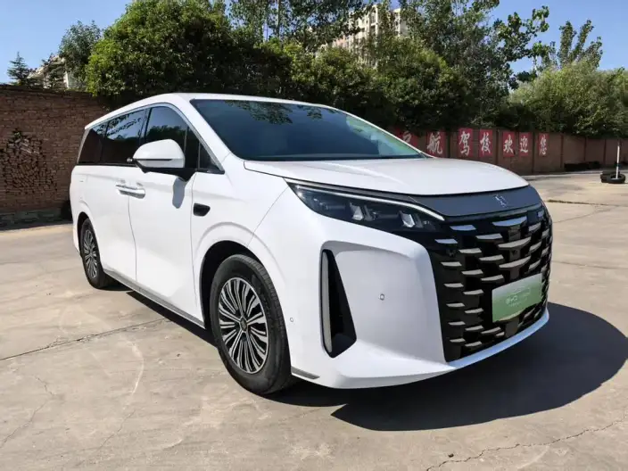 Xia 2025 Model DM-i 180KM Excellence Model – фото 3