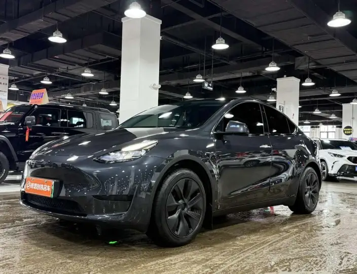 Model Y 2024 Model Rear-wheel drive version – фото 1