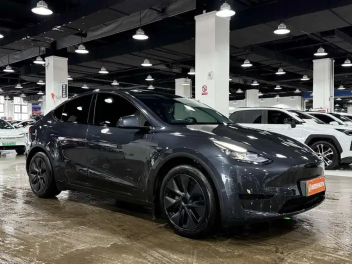 Model Y 2024 Model Rear-wheel drive version – фото 3