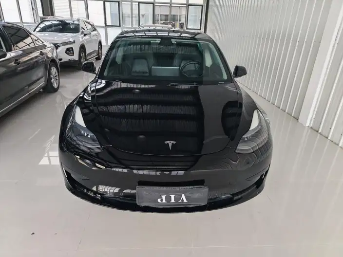 Model 3 2022 Model Rear-wheel drive version – фото 2