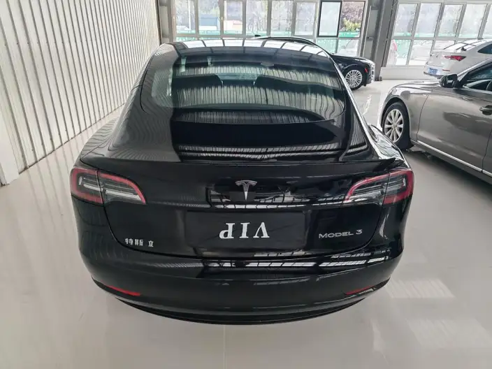Model 3 2022 Model Rear-wheel drive version – фото 5