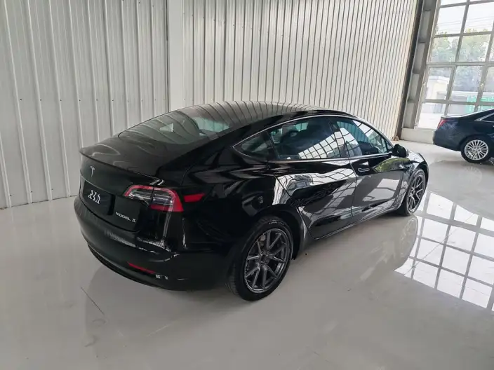 Model 3 2022 Model Rear-wheel drive version – фото 6