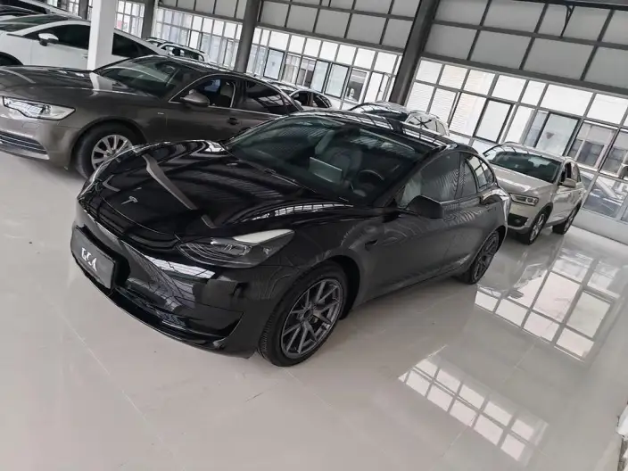 Model 3 2022 Model Rear-wheel drive version – фото 10