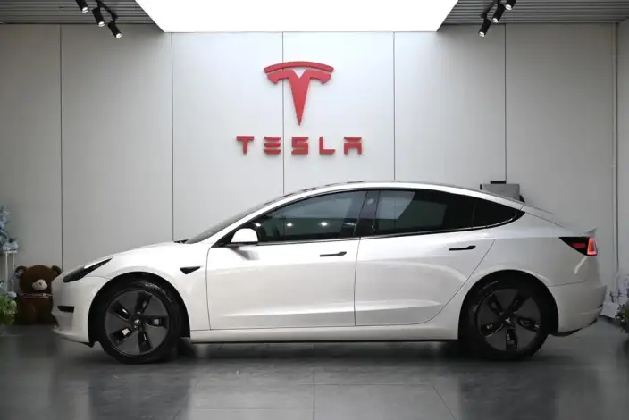 Model 3 2021 Model Standard Battery Life Rear Drive L Class Edition – фото 3