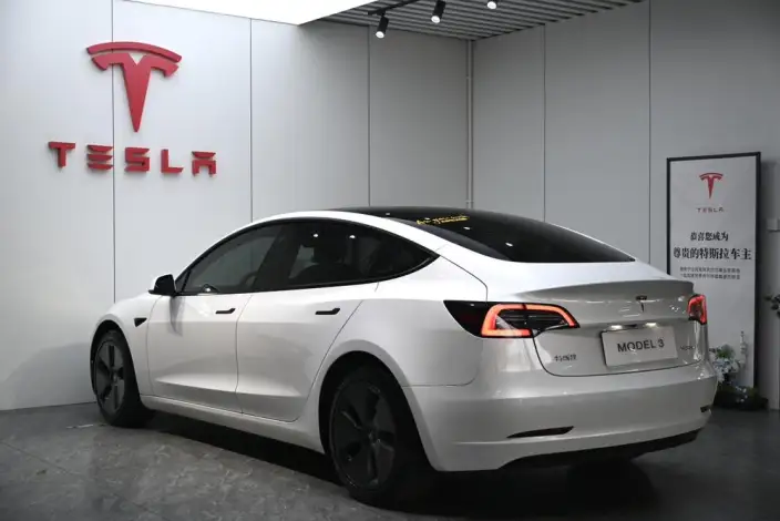 Model 3 2021 Model Standard Battery Life Rear Drive L Class Edition – фото 4