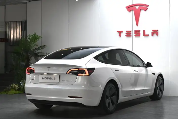 Model 3 2021 Model Standard Battery Life Rear Drive L Class Edition – фото 5