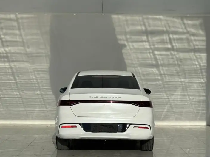 Qin Plus EV 2023 Model Champion Edition 510KM Leading Model – фото 5