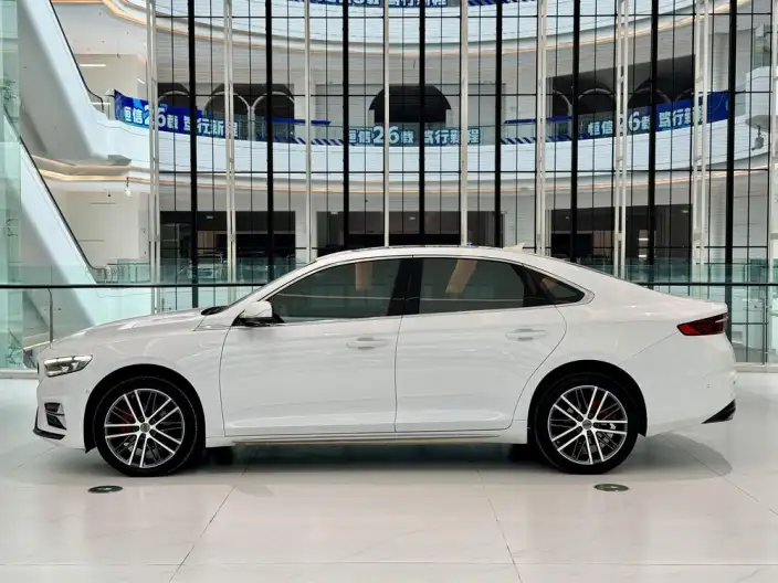 Geely StarRui 2023 Model 2.0T Noble Model – фото 4