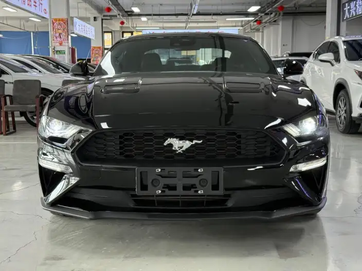 Mustang 2021 Model 2.3T EcoBoost – фото 2