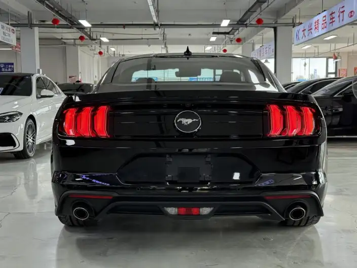 Mustang 2021 Model 2.3T EcoBoost – фото 5